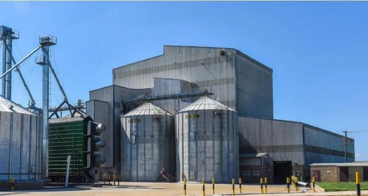 Complete Flour Mill Machine Wheat Flour Mill Plant