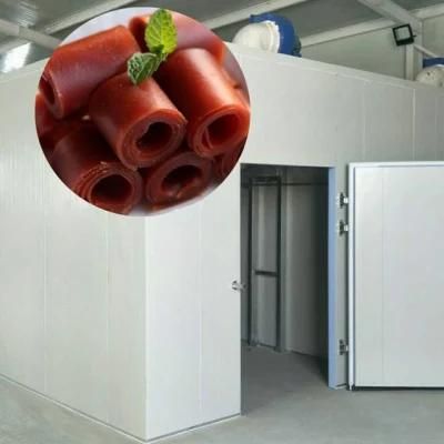 Dehydrated Candy Fruit Leather Production Line