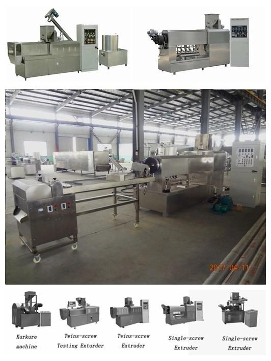 Stainless Steel Fried Corn Snacks Food Machine