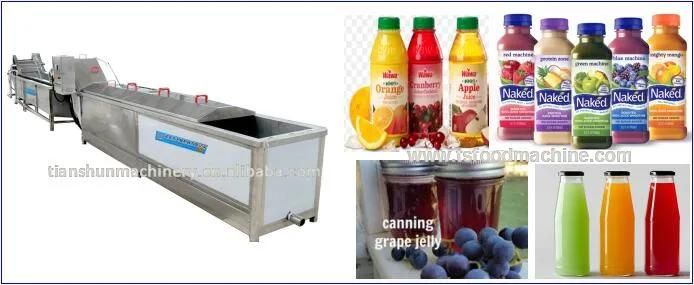 Fruit Juice and Bottle Pasteurization Machine for Sale