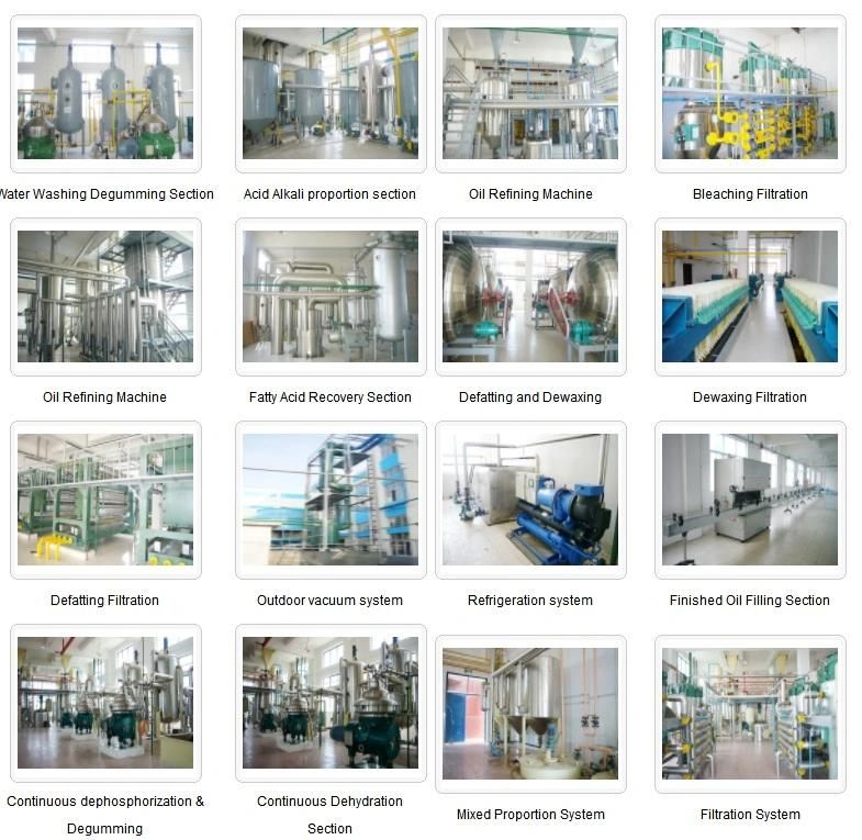 Henan Huatai Groundnut Oil Making Machine of Top 5 Manufacture