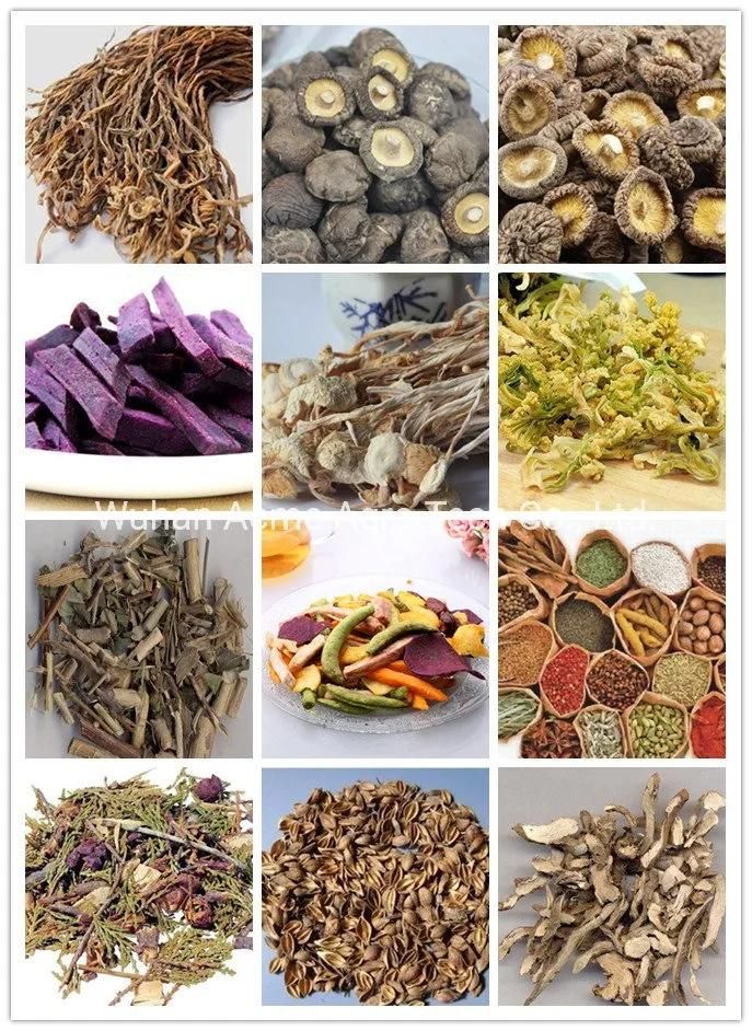 Fruit and Vegetable and Fruits Dryer Fruit Drying Production Line