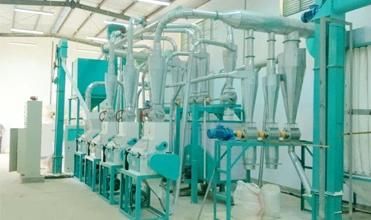 10t/24h Fully Automatic Wheat Flour Mill Machinery