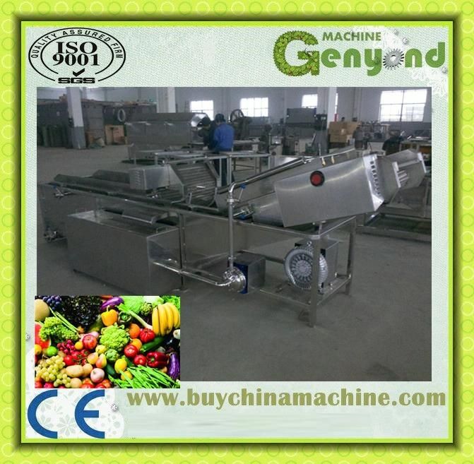 Clean Vegetables Fruit Production Line