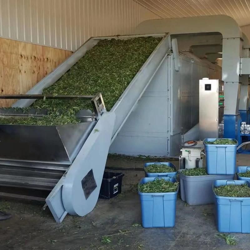 1000/1500/2000/3000/5000lbs Contiunous Industrial Hemp Leaf Flower Biomass Mesh Belt Dryer