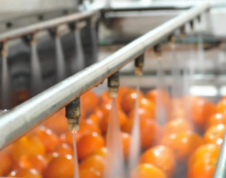 Trade Assurance Industrial Fruit Cleaning Machine Washing Production Line Machine for Vegetable Washer