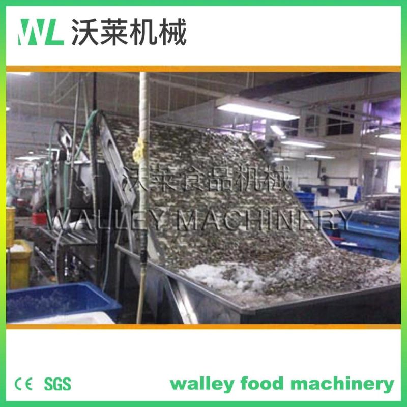 China Shrimp Grader Prawn Separating Machine Grader