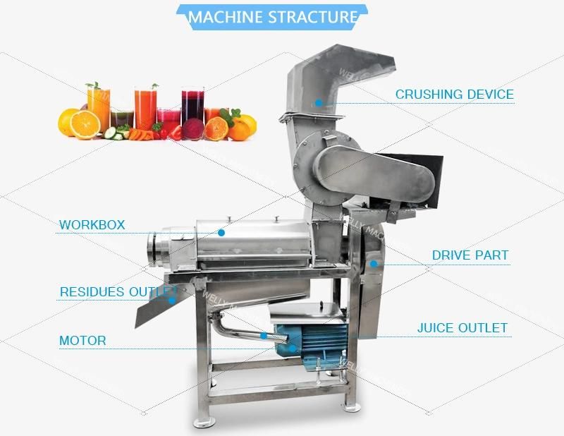1.5t Cucumber Parsley Juice Peach Cherry Juicer Squeezer Squeezing Machine