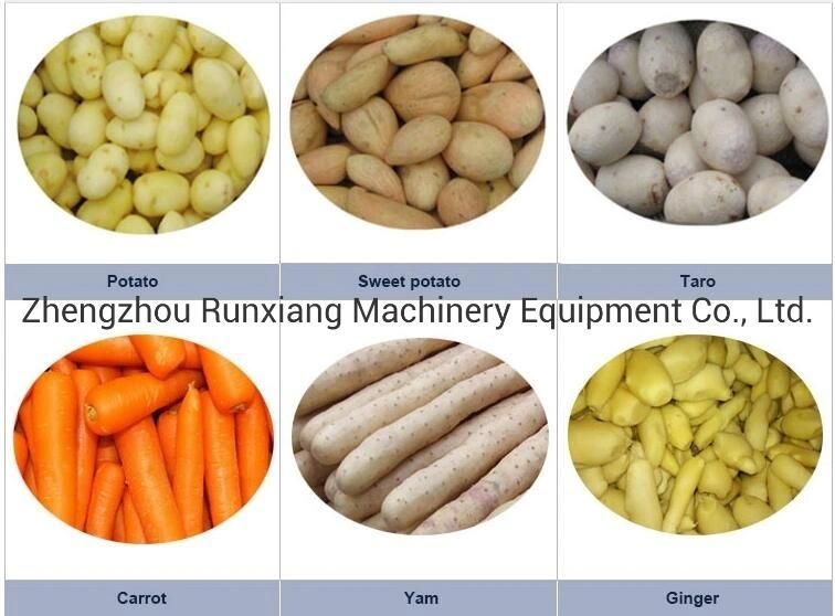 Industrial Fresh Vegetable Fruits Cleaning Drying Processing Dry Dates Washing Machine