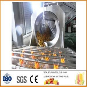 Apple Beverage Production Line Flavored Apple Juice Line Pineapple Juice SS304 Apple Juice ...