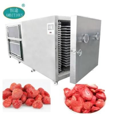 Vacuum Dried Fruit Freeze Dryer Fruit and Vegetable Strawberry Freeze Dryer