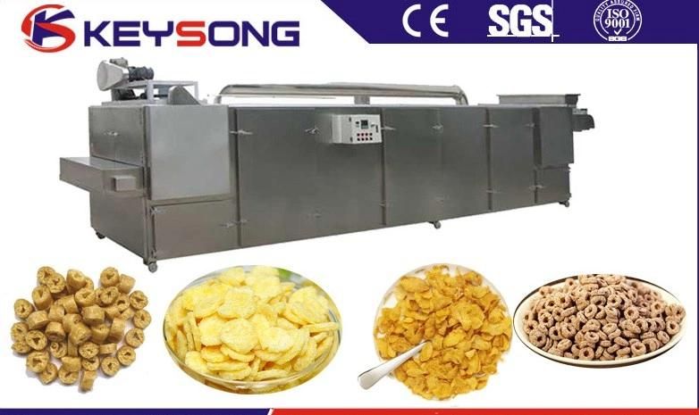 Industrial Layer Circulating Food Snack Dryer