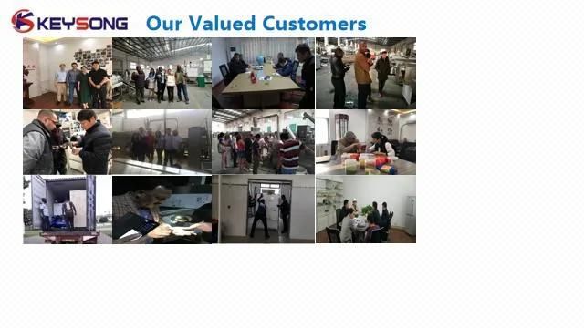 Ce Good Quality Breakfast Cereals Corn Flakes Production Line
