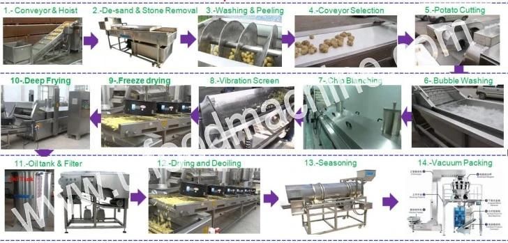 Parallel Brush Wahing Machine for Carrot Cucumber Potato and Fruit Orange