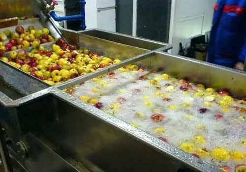 High Capacity Fruit Processing Machinery Vegetable Washing Machine