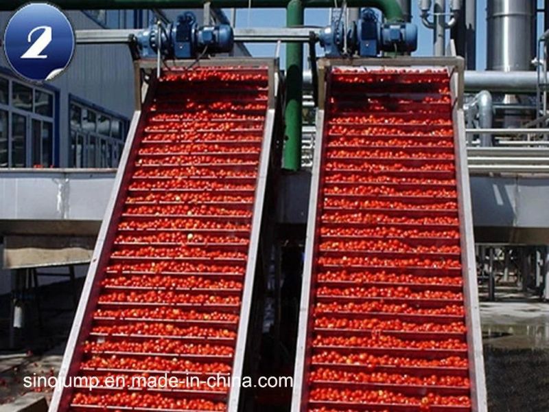 Coconut Milk Processing Machine/Coconut Oil Processing Line