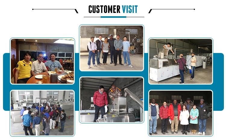 Double Screw Corn Puff Corn Extruder Machine From China Factory Manufacturer