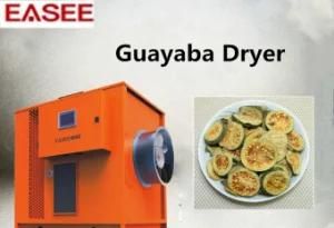Moringa Machinery Fruit Drying Machine/ Guayaba Dehydration Heater Dryer