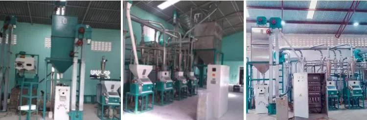 30t/24h Maize Flour Milling Machine Running in Tanzania with Price