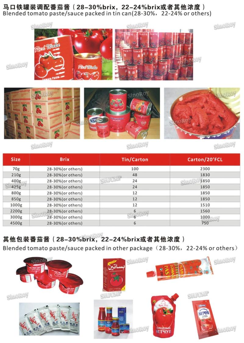0.5 Tons Mini Canned Tomato Paste Jam Source Ketchup Processing Line and Machine