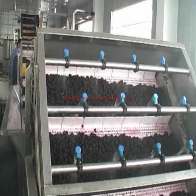 Blackberry Pulp Production Line