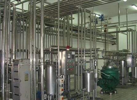 Complete Onion Powder Processing Plant