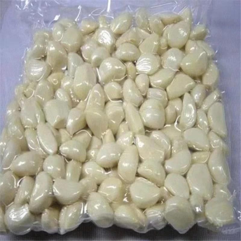 High Quality Electric Table Garlic Peeling Machine