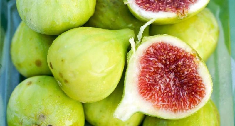 Fruits Bubble Washer Machinery Figs Washing Machine Fig Cleaning Machine