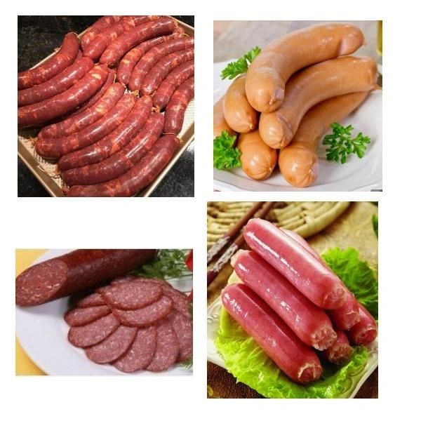 15L /26L /35L Hydraulic Sausage Filler/High Quality Sausage Stuffer/Sausage Meat Extrude Machine