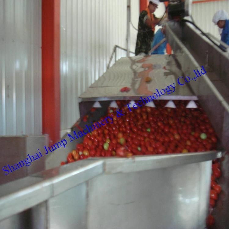 Mango Pulp Puree Tube in Tube Sterilizer