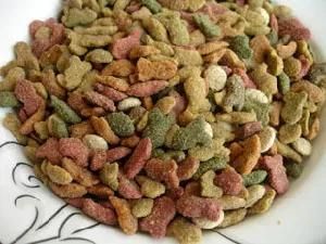 Extruder Pet Food Machine, Twin Extruder