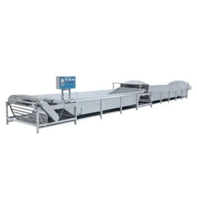 Industrial Sweet Corn Blanching Machine / Potato Chips Blanching Machine