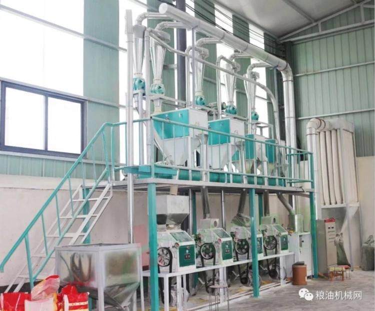 Grain Hammer Mill