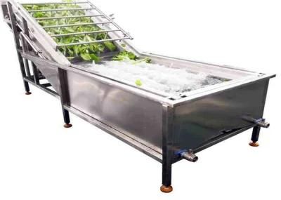 Root Leaf Vegetable Air Bubble Washing Production Machinery