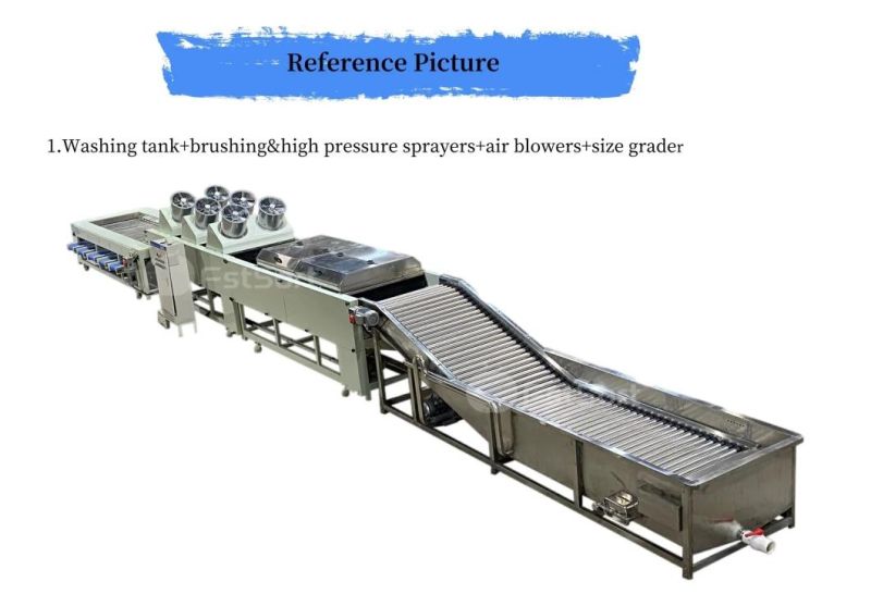 Potato Carrot Eggplant Plant Sweet Potato Washing Drying Sorting Grading Line