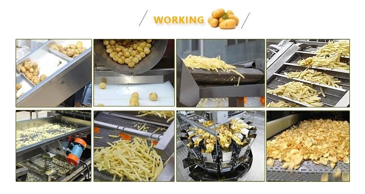 Factory Supply Potato Chips Slicing Machine French Fries Slicing Machine