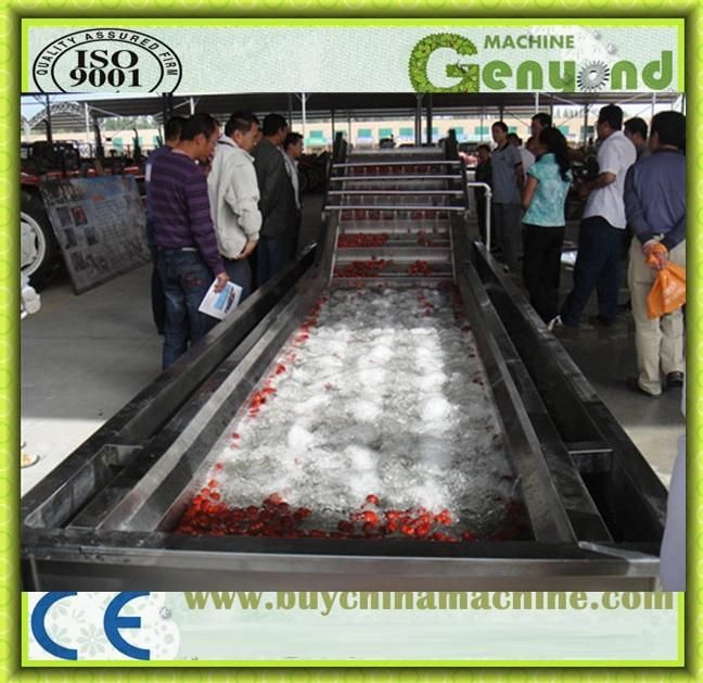 Bubble Cleaning Type Guava Washing Machines