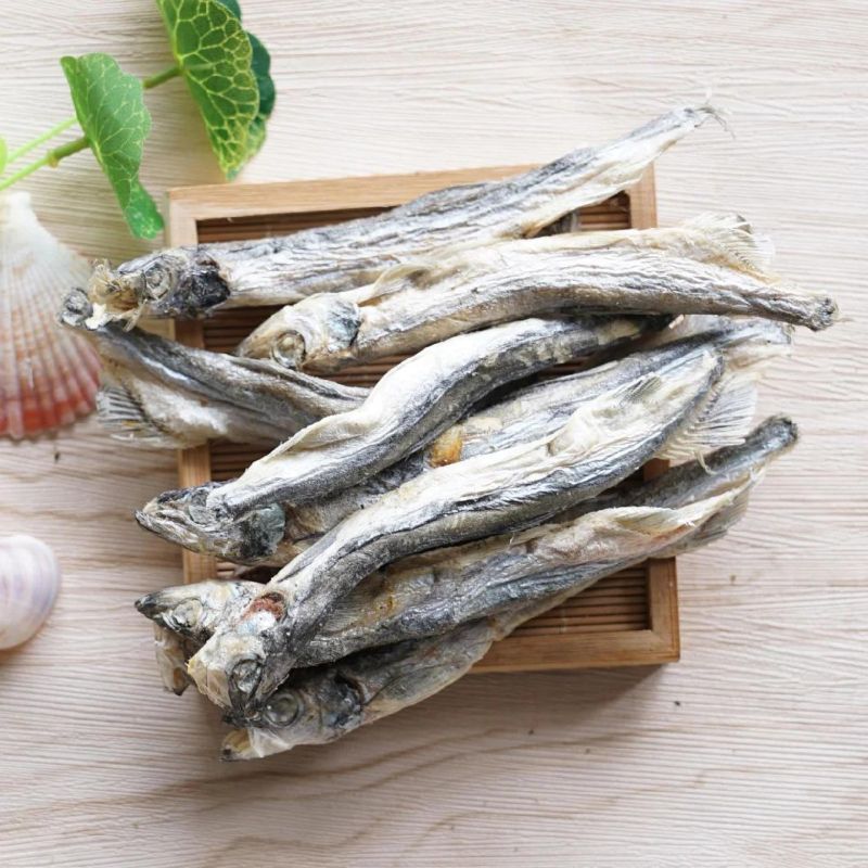 Food Freeze Dryer Freezed Drying Machine Fish Dryer Oven