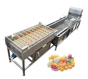 Automated High Quality Vegetable Cleaning Machine