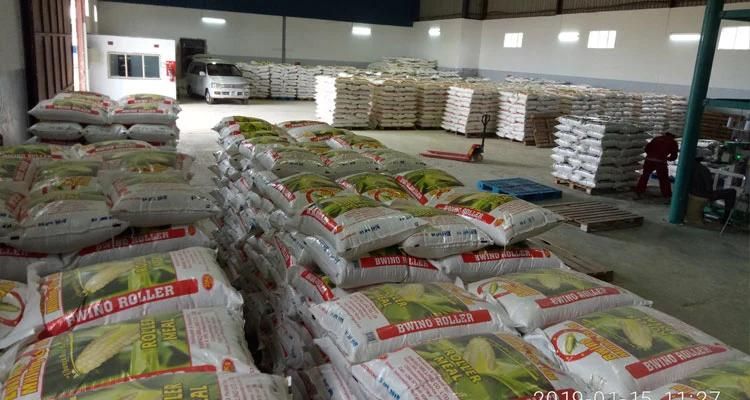 Maize Grinding Maize Mill Machine Flour Milling Plant