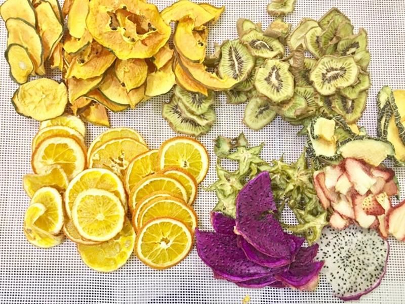 Good Price Vegetable Food Dryer Fruit Dehydrator