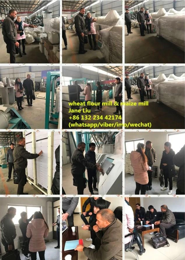 Great Maize Mill Running Griding Maize Flour Miaze Meal Milling Plant