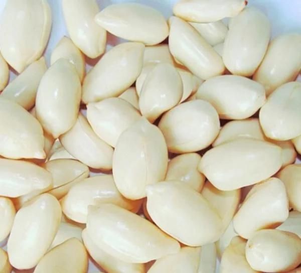 Food Processor Equipment Hot Water Blancher Peanut Blanching Machine