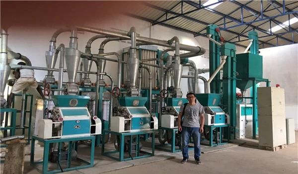 Uganda Rwanda Burundi 20t Corn Grinding Mill Africa Market