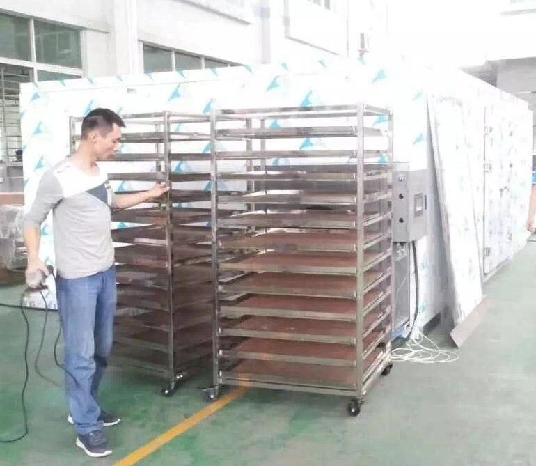Ginger Processing Ginger Washing Cutting Drying production Line