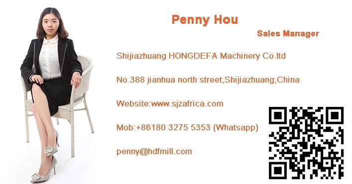 China Hongdefa Corn Mill Maize Flour Milling Machine in Africa