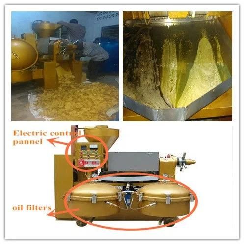 10tpd Guangxin Palm Kernel Oil Press Machine