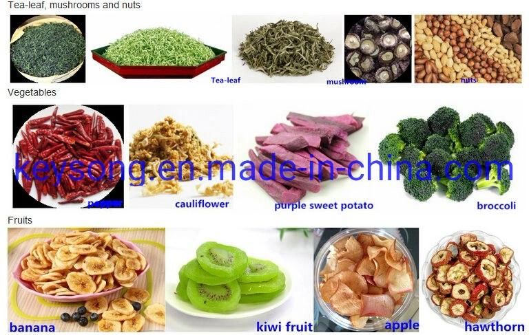 Multi-Function Cost Saving Dehydrator Mesh Best Dryer