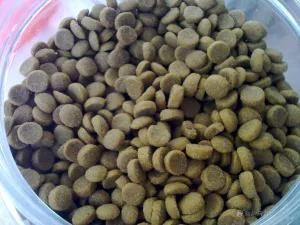 Twin Screw High Capactiy Pet Food Pellet Machine