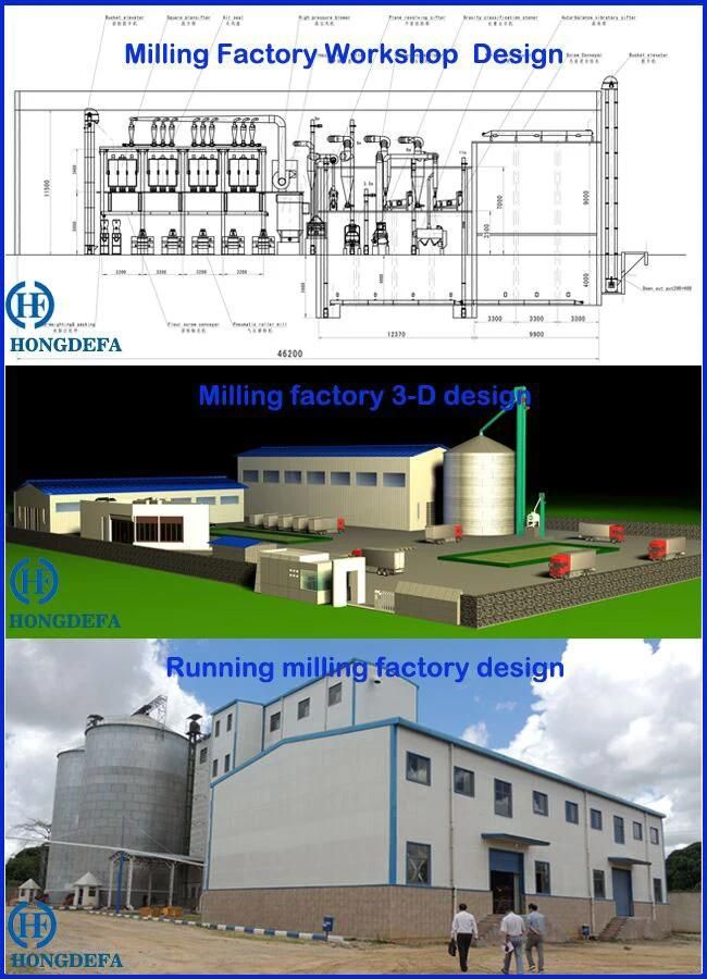 ISO Certified Corn Mill Flour Grits Processing Equipment